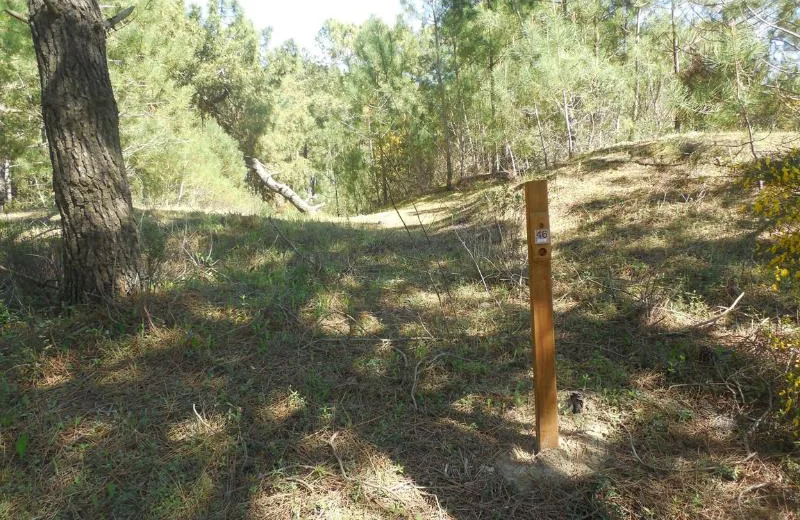 Parcours d’orientation bleu – Le Lac de Saint-Palais