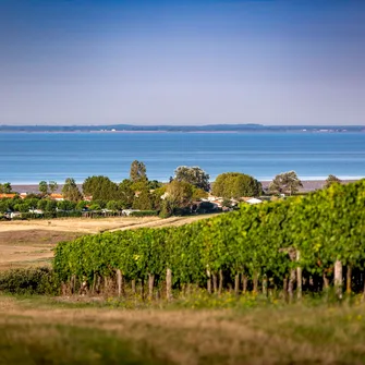 Boucle VTC (saisonnière) – Le Tour Royan Atlantique