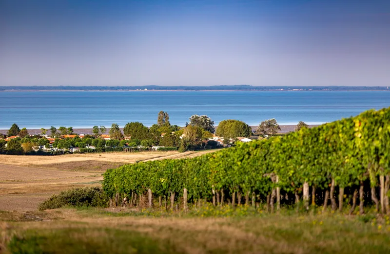 Boucle VTC (saisonnière) – Le Tour Royan Atlantique