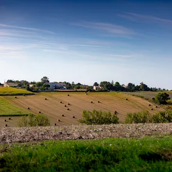 Boucle VTC – Coteaux de l’Estuaire de la Gironde