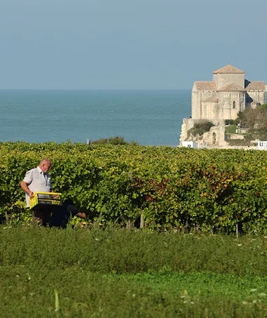 Visite du domaine viticole – Les Hauts de Talmont