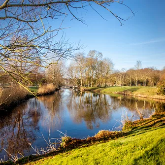 Lacs du parc de la Mairie