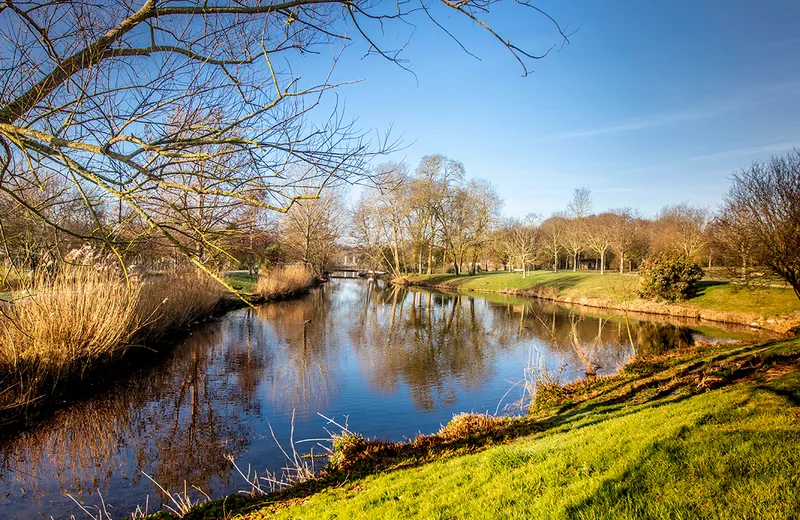 Lacs du parc de la Mairie