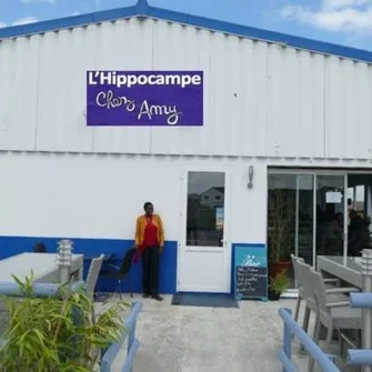 L’Hippocampe Chez Amy