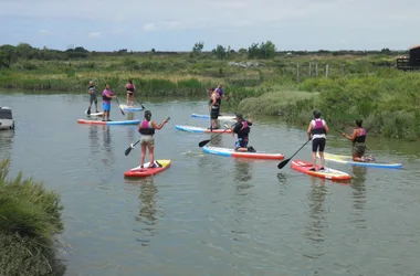 Kayak & Nature en Seudre