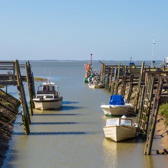 Port de Talmont-sur-Gironde