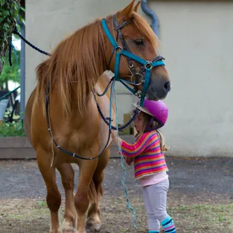 Le Petit Trot Cormillon