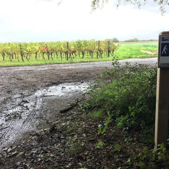 Sentier Détours N°1 – Sablonceaux