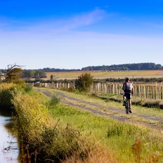 Boucle VTC – Des forêts de Coubre à Suzac par la rive droite de la Seudre