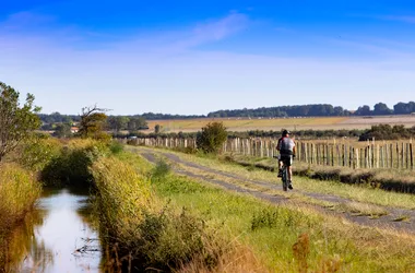 Boucle VTC – Des forêts de Coubre à Suzac par la rive droite de la Seudre