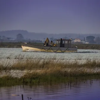 Boucle VTC (saisonnière) – Rive droite de la Seudre et Côte sableuse