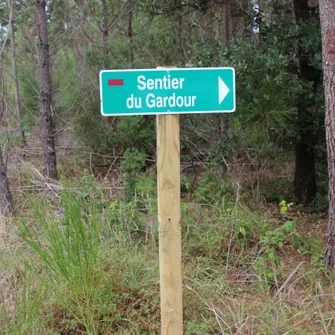 Sentier du Gardour – Forêt de la Coubre