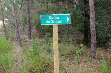 Sentier du Gardour – Forêt de la Coubre