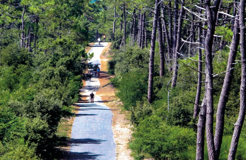 Boucle VTC – Le tour de la Forêt de la Coubre