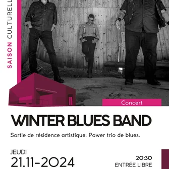 Concert – Winter Blues Band