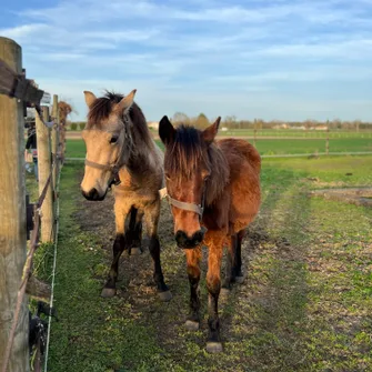 Le Petit Trot Cormillon