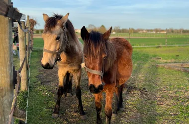 Le Petit Trot Cormillon