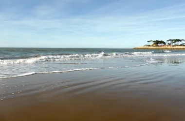 Plage des Pins de Cordouan