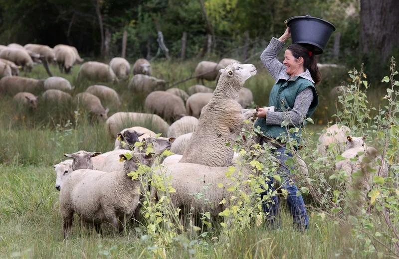 Ferme de la Gravelle