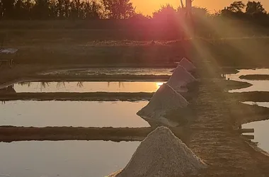 Visite guidée du Marais Salant de Mornac