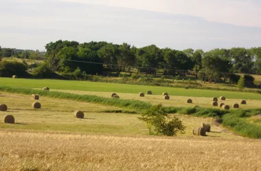 Camping Les Vignes