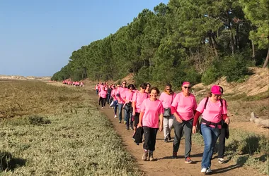 Marche solidaire pour Octobre Rose