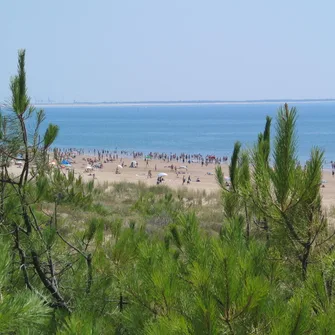 Plage de la Grande Côte