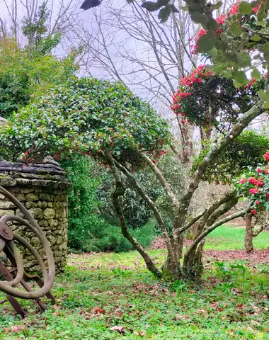 Jardin du Riollet