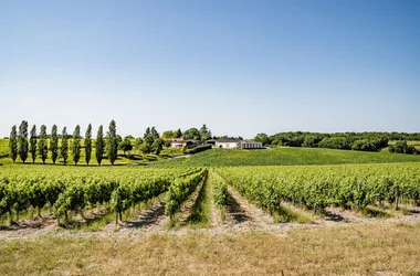 Domaine La Prenellerie