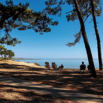 Sentier du Requin – Forêt de la Coubre