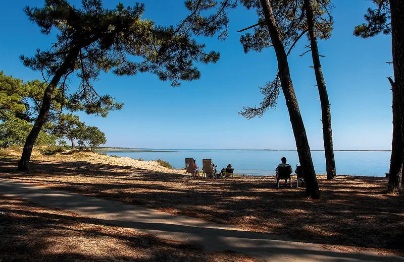 Sentier du Requin – Forêt de la Coubre