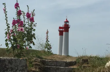 Croisières en mer Picot des îles – Saint-Denis croisières