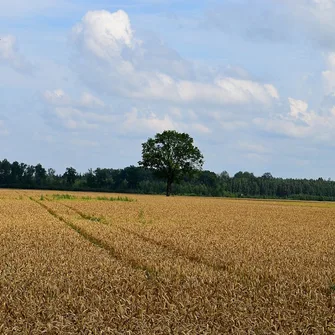 Sentier Détours N°2 – Médis