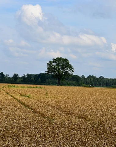 Sentier Détours N°2 – Médis