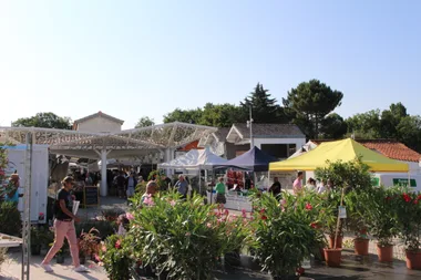 Marché Les Mathes