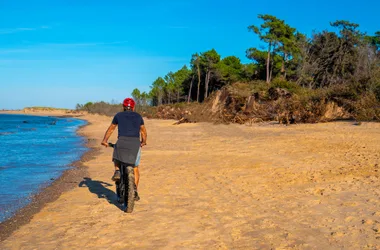 Fat Sand Bikes 17 – Ronce-les-Bains