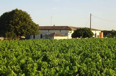 Domaine Imbert