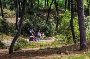 Itinéraire VTC N°1 – La Vélodyssée ®