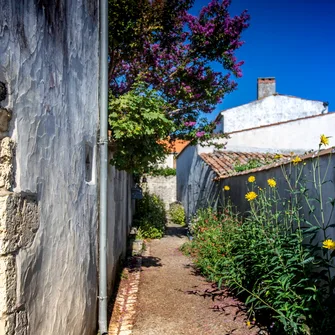 Sentier Détours N°3 – Mornac-sur-Seudre