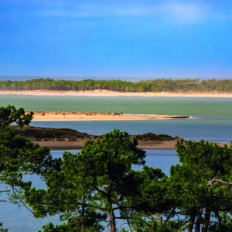 Point de vue – Le Pertuis de Maumusson