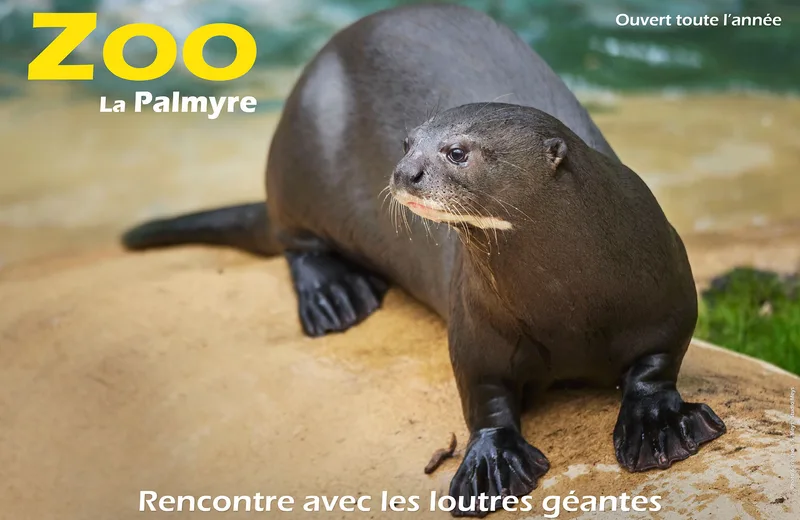 Zoo de La Palmyre