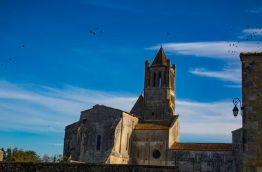 Le Chemin de Saint-Jacques de Compostelle