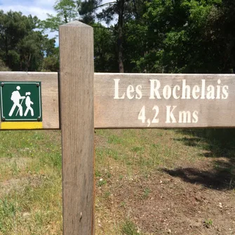 Sentier des Rochelais – Forêt de la Coubre