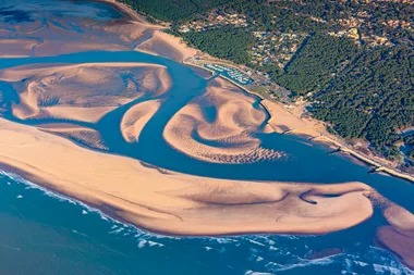 Approche sensorielle de la biodiversité de la Baie de Bonne Anse