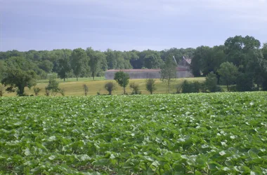 Sentier Détours N°1 – Médis