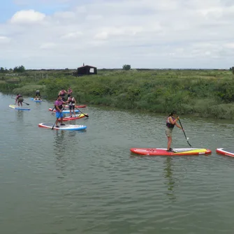 Kayak & Nature en Seudre