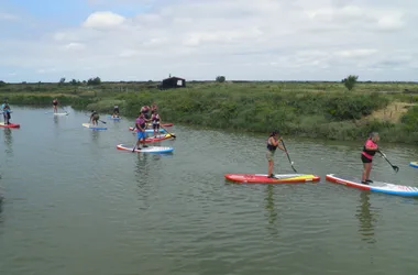 Kayak & Nature en Seudre