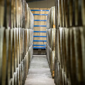 Visite du domaine viticole – Les Caves Jules Gautret – La Magie du Pineau et du Cognac