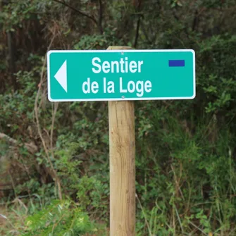 Sentier de la Loge – Forêt de la Coubre