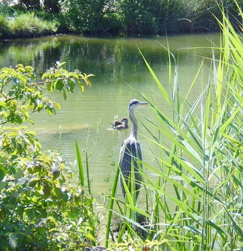 Parc ‘Im Grünen’